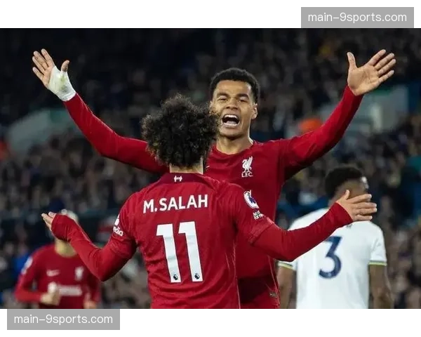 加克波伪九号角色适应性 利物浦前锋在荷兰4231体系中的位置实验